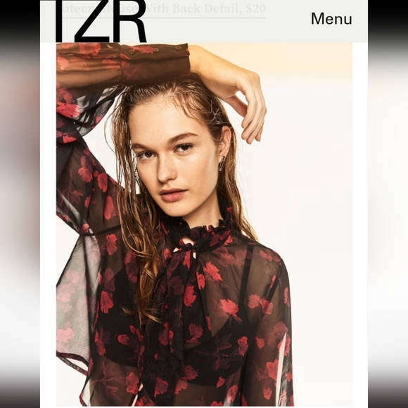 Zara Tops - Zara Sheer Blouse With Bow